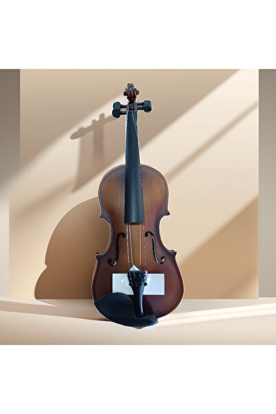 Bircanmüzik Swing 1/2 Keman Tam Set (kutu, yay, reçine dahil)