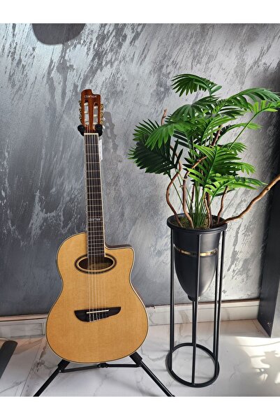 Clariss Ccg-100ctnteq Ince Kasa Elektro Klasik Gitar  Kılıf ve kablo hediyeli