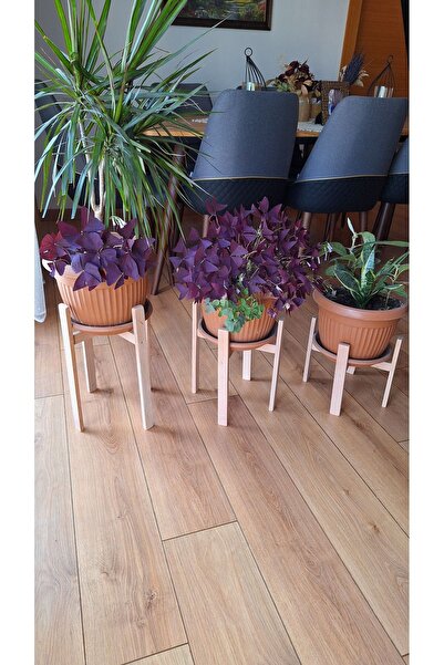 MrtAhşap Saksılık 3 adet,Büyük boy saksılar için(Kayın ağacından )