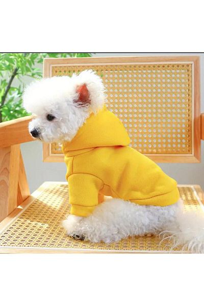 PetiliDünya Basic Hooded Sweatshirt - Cat and Dog Outfit