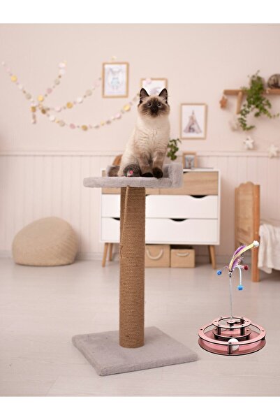 Quun Emse Natural Wooden Cat Toy - Two Balls with Spring