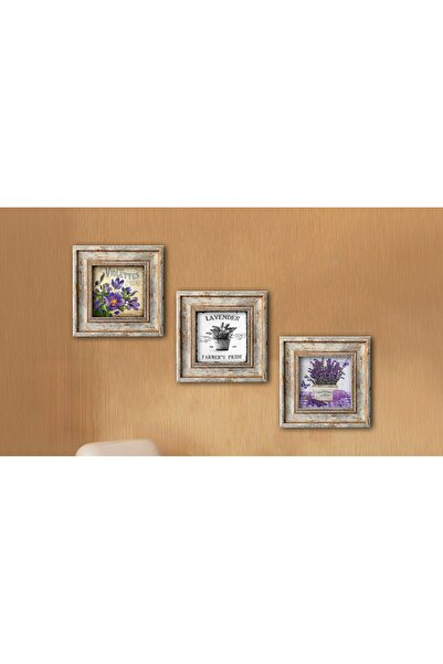 huhuli Ahşap Eskitme Çerçeveli 3 Parça Tablo Seti Huhu324