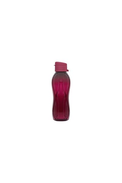 EbruliHomeArt 750 ml Claret Red Children's School Sports Water Bottle - Water Bottle