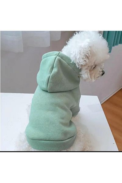PetiliDünya Basic Hooded Sweatshirt - Cat and Dog Outfit