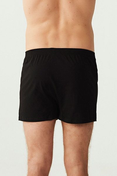U.S. Polo Assn. Πόλο Ασν. Ανδρικό Boxer - B8.ON.N.IE0.C.0.LY5.DE.4 Μοντέλο