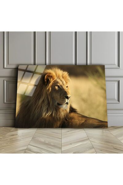 Harikabirev HARİKABİREV | PIECE DE STICLA INESPRIMABILĂ (TEMPERATĂ) PENTRU TA...