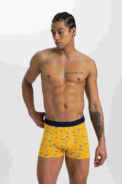 DeFacto Regular Fit 3 Pack Boxers W9686az24sm