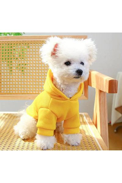 PetiliDünya Basic Hooded Sweatshirt - Cat and Dog Outfit