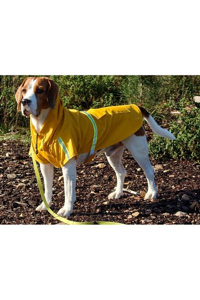 Holidog Waterproof Raincoat - Dog Raincoat with Body Fixing Detail Reflective