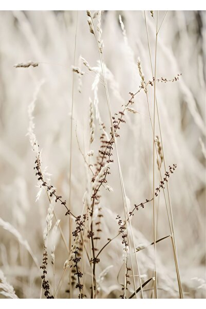 Harikabirev HARİKABİREV|SOFT BEJ BEYAZ PÜSKÜLLÜ YAPRAK 2|ÇERÇEVELİ TEMPERLİ CAM TABLO TEKLİ DİKEY