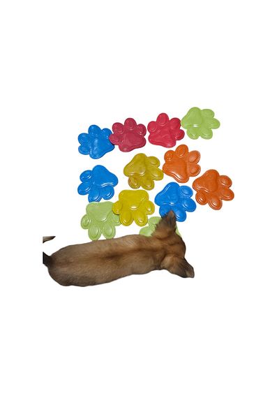 KediEviNet Dog Teether Plastic Toy. 1 Piece