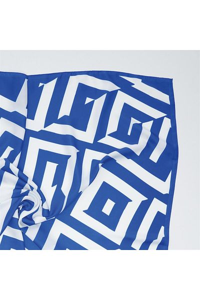 Cardion Indigo Gold Square Scarf
