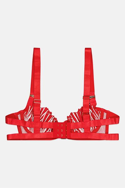 Bluebella Women Textured Non Padded Wired Bra, Red