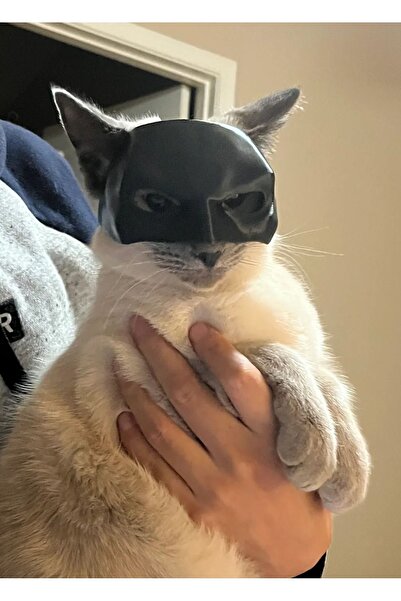 Genel Markalar Kedi Batman Maskesi