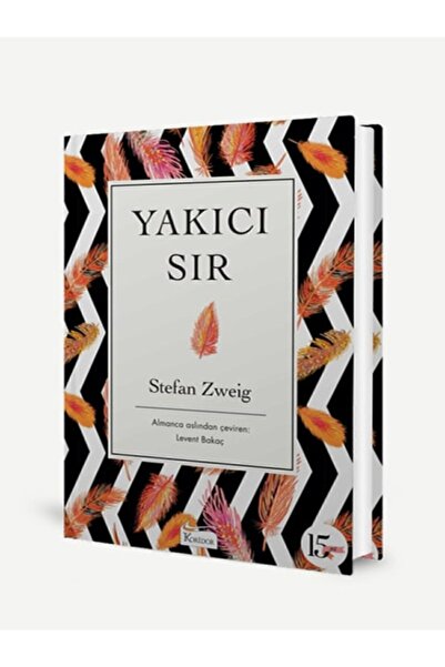 Koridor Yayıncılık 40 - Yakıcı Sır / Bez Ciltli Dünya Klasikleri