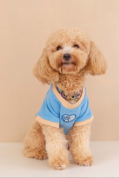Köpek Ince Sweatshirt (%100 PAMUK) - Mavi - Köpek Kıyafeti