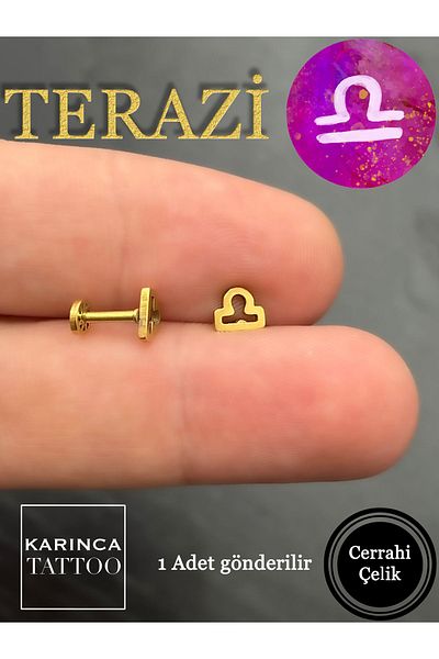 Karınca Piercing Zodiac Symbols Zodiac Ear Tragus Helix Cartilage Piercing Earring