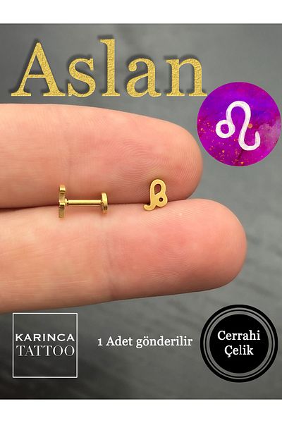 Karınca Piercing Zodiac Symbols Zodiac Ear Tragus Helix Cartilage Piercing Earring