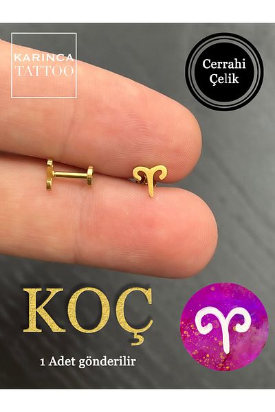 Karınca Piercing Zodiac Symbols Zodiac Ear Tragus Helix Cartilage Piercing Earring