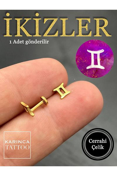 Karınca Piercing Zodiac Symbols Zodiac Ear Tragus Helix Cartilage Piercing Earring