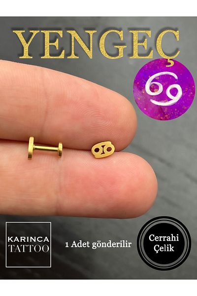 Karınca Piercing Zodiac Symbols Zodiac Ear Tragus Helix Cartilage Piercing Earring