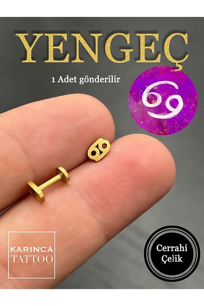 Karınca Piercing Zodiac Symbols Zodiac Ear Tragus Helix Cartilage Piercing Earring