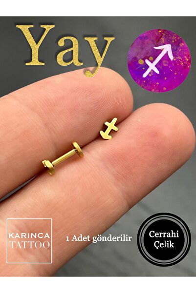 Karınca Piercing Burç Sembolleri Zodiac Kulak Tragus Helix Kıkırdak Piercing ...