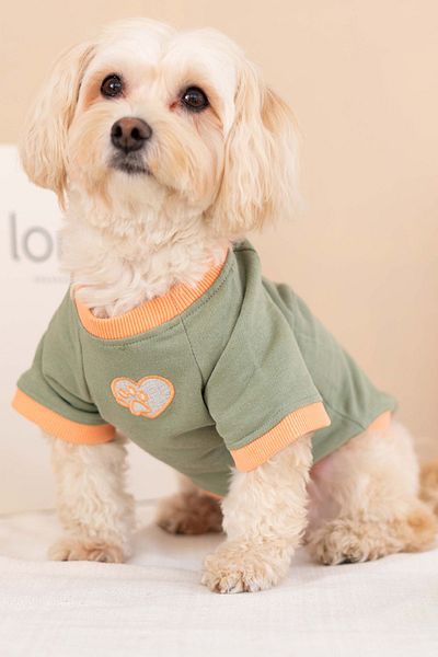 Lorico Dog Thin Sweatshirt (100% Cotton) - Green - Dog Clothing