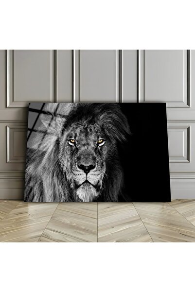 Harika bir ev ΧΑΡΙΚΑΜΠΙΡΕΒ | ΑΝΘΕΚΤΙΚΟ ΓΥΑΛΙ (TEMPERED GLASS) ΜΑΥΡΟ-ΛΕΥΚΟ ΠΙΝ...