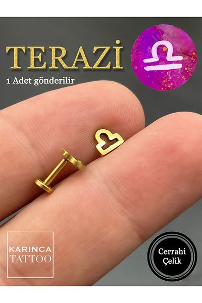 Karınca Piercing Zodiac Symbols Zodiac Ear Tragus Helix Cartilage Piercing Earring