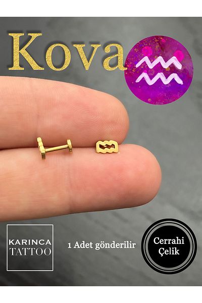 Karınca Piercing Zodiac Symbols Zodiac Ear Tragus Helix Cartilage Piercing Earring