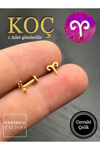 Karınca Piercing Zodiac Symbols Zodiac Ear Tragus Helix Cartilage Piercing Earring