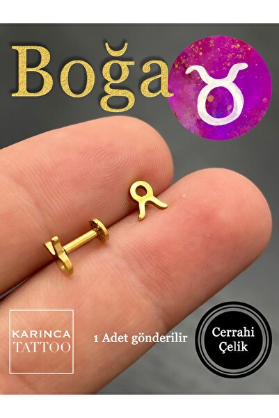 Karınca Piercing Burç Sembolleri Zodiac Kulak Tragus Helix Kıkırdak Piercing ...