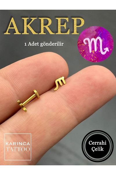 Karınca Piercing Zodiac Symbols Zodiac Ear Tragus Helix Cartilage Piercing Earring