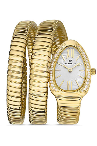 Momentus SS256G-02SG