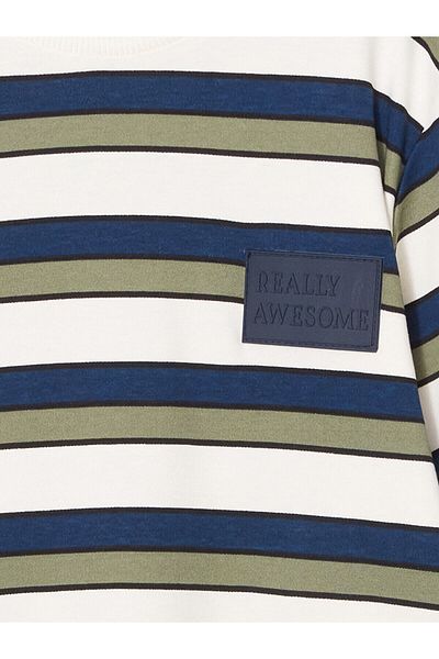 LC Waikiki Crew Neck Boy's T-Shirt