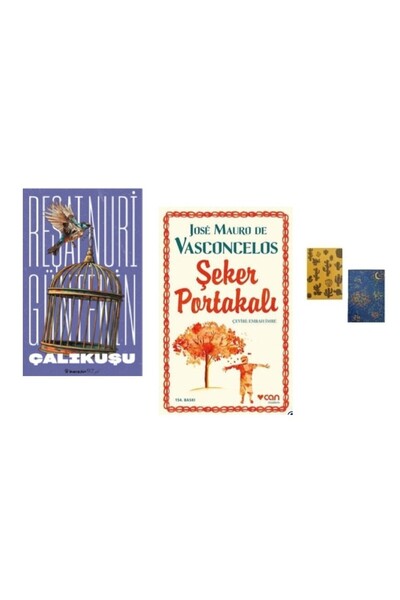 İnkılap Kitabevi Çalıkuşu - Şeker Portakalı ( 2 Defter HEDİYE)