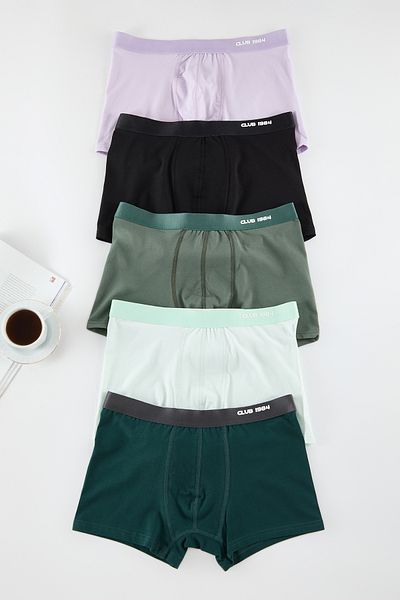 Trendyol Collection Πολύχρωμα μπόξερ με μοτίβο/ίσια συσκευασία 5 - TMNAW25BX00005