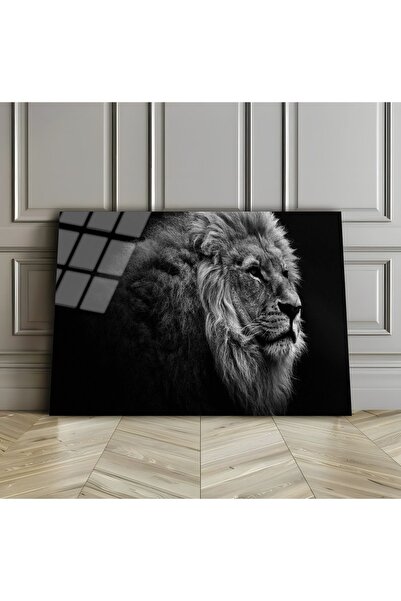 Harikabirev HARİKABİREV | STICLA INERABLE (TEMPERATA) TABLOA LEU ALB-NEGRU 03...