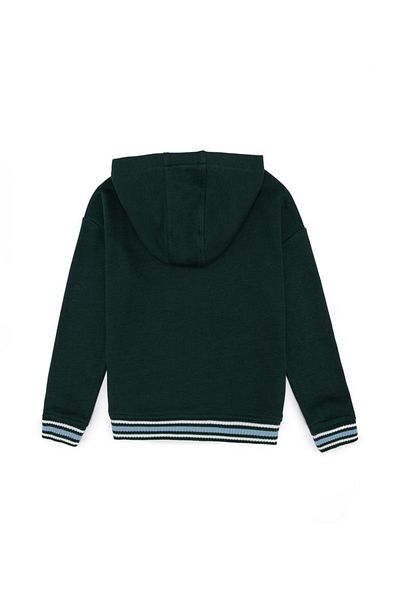 U.S. Polo Assn. U.S. Polo Assn. Hanorac verde pentru băiat - 50253499 -VR054