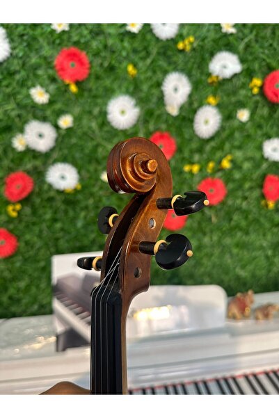 Özel Yapım Keman tam boy profesyonel üst seviye 4/4 +keman kutu Case ve ayarlanabilir yastık,Tel seti +Tuner