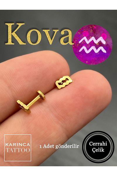 Karınca Piercing Zodiac Symbols Zodiac Ear Tragus Helix Cartilage Piercing Earring