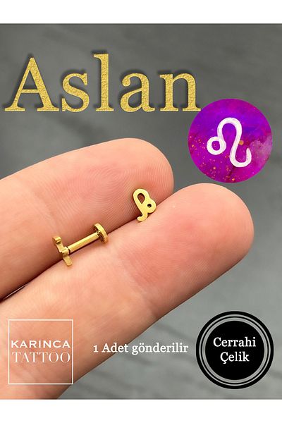 Karınca Piercing Zodiac Symbols Zodiac Ear Tragus Helix Cartilage Piercing Earring
