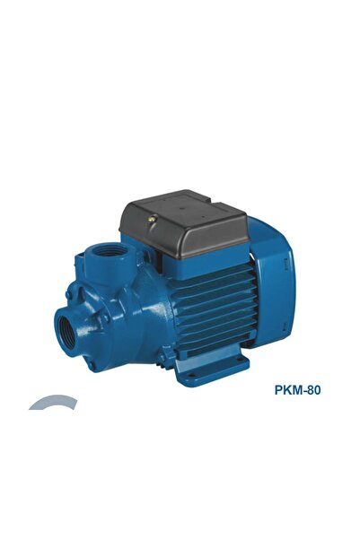 TESGART Elektrikli Su Pompası Pkm80 1 Hp Su Motoru,dinamo, Bakır Sargılı,prin...