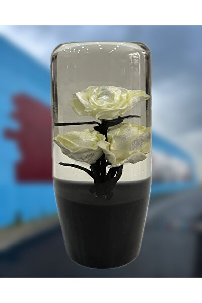 Paşam Oto Aksesuar GÜLLÜ VİTES TOPUZU BEYAZ