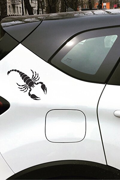 Artikel ملصق سيارة العقرب مقاس 21 × 29 سم، ملصق سيارة، ملصق سيارة