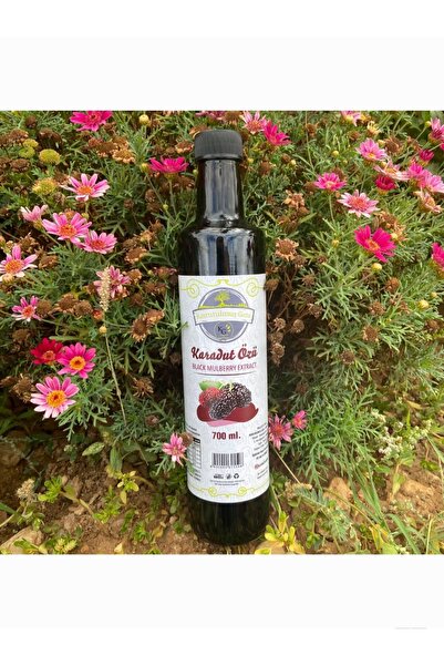 Kg Kurutulmuş Gıda Karadut Özü ( 700 Gr )