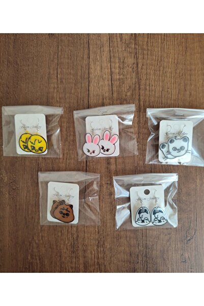 3DHOBİCENTER Straykids skzoo küpe 5 li set straykids küpe