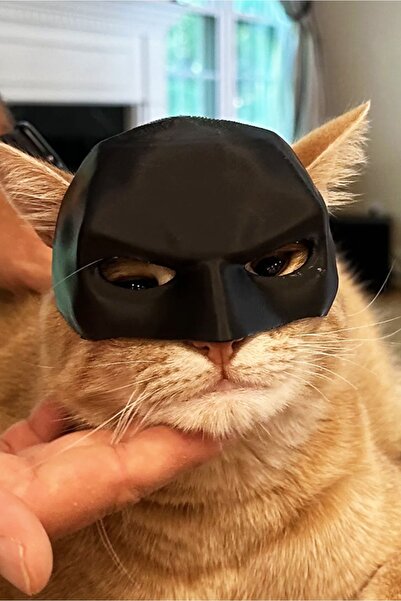 FEEL Kedi Batman Maske - Plastik Kediler için Maske Batman Maske