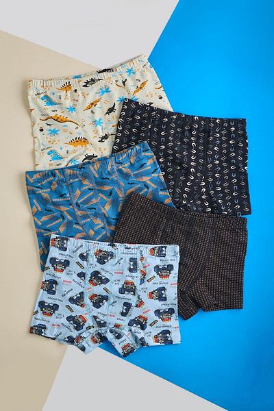 BİYOTEKS Bi̇yo Ki̇ds Boy 5 Boxers with Dinosaur Pattern